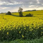 Charming Fisherman's Holiday home Borre