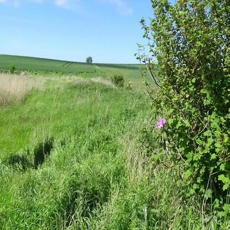 Charming Fisherman's - By Traum Сasa de vacaciones Borre