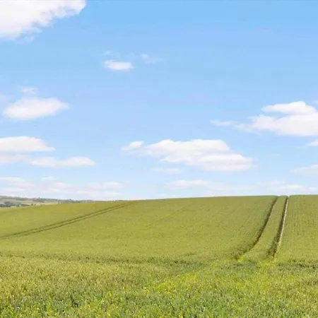 Charming Fisherman's - By Traum *