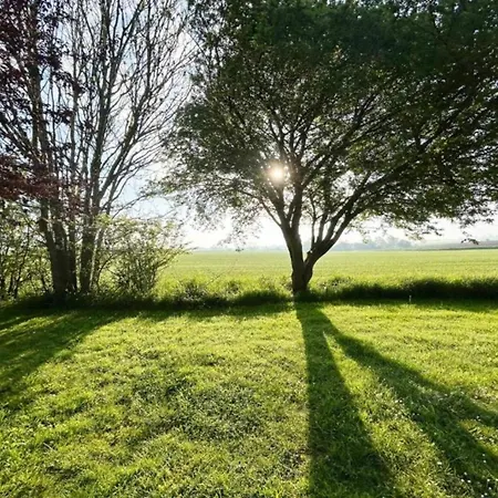 Charming Fisherman's - By Traum * Borre