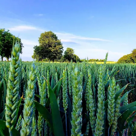 Сasa de vacaciones Charming Fisherman's - By Traum *