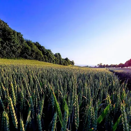 Charming Fisherman's - By Traum