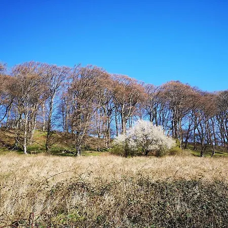 Charming Fisherman's - By Traum Сasa de vacaciones *